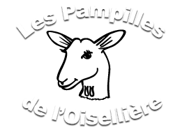 Les Pampilles De L’Oisellière