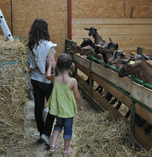 Mathieu et Emilie vous accueillent dans leur ferme fromagère (37)