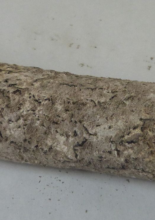 Le Fromage Sec (plus de 1.5 mois d,affinage)